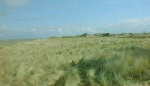 Part of the Morrich More wasteland