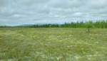 Top of Tain Hill