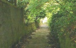 Cunarder Lane - The bottom end - photo 3