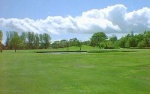 The Links