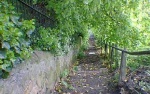 The Rickety steps