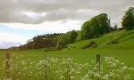 The Woody braes from Kirksheaf road