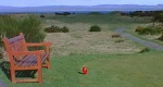 Tain Golf Club 11th Hole (The Alps)