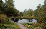 Inverewe Lily Pond