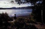 Shore at Inverewe Gardens