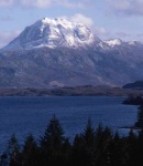 img146.jpg