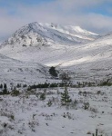 Tom a' Choinnich