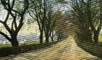 The avenue leading from Maryburgh to Conon Bridge