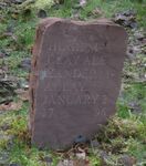 Gravestone replacing the Pictish stone. [Photo courtesy of NOSAS]