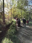33 enjoying a group walk 2022