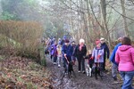 365 New Year walk 2023