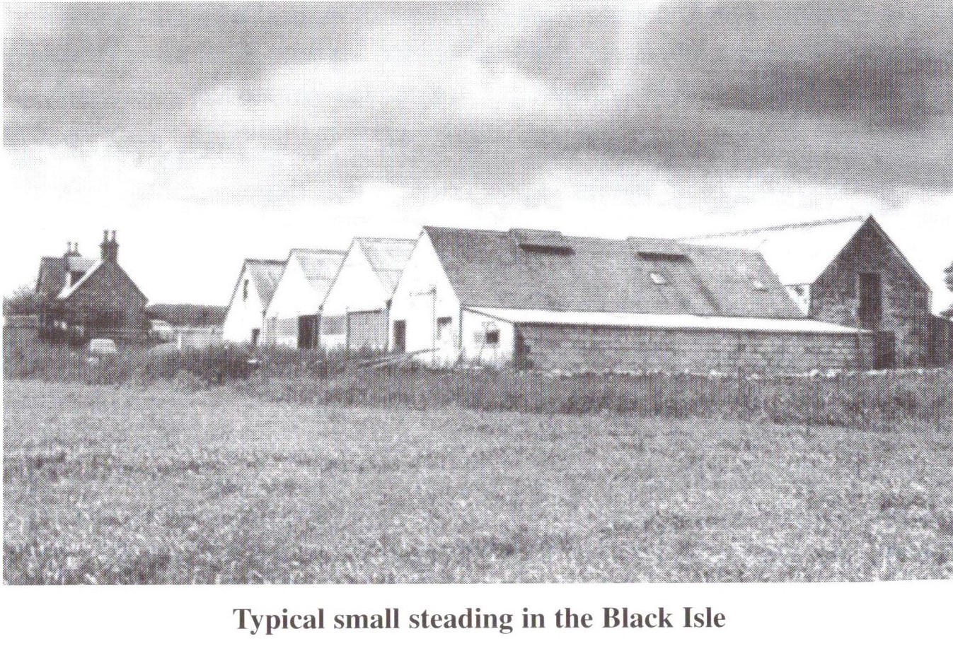 Steading