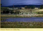 09 Udale Bay
