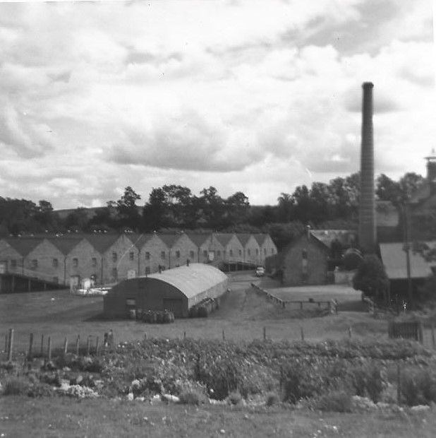 1960