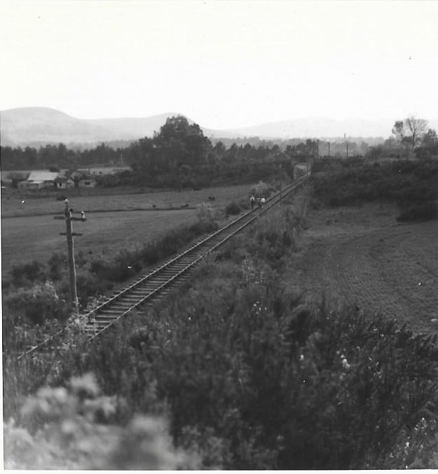 black isle line 1959.